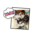 カイの日常2（個別スタンプ：10）