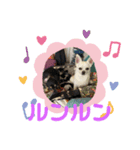 カイの日常2（個別スタンプ：12）