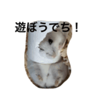 おだんごシスターズ！（個別スタンプ：3）