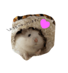 おだんごシスターズ！（個別スタンプ：8）