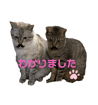 roo＆gon（個別スタンプ：4）