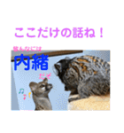 コモンマーモセット らむね君 2（個別スタンプ：3）