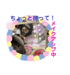 コモンマーモセット らむね君 2（個別スタンプ：6）