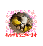 心愛＆笑華（個別スタンプ：3）