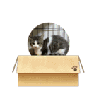 心愛＆笑華（個別スタンプ：6）