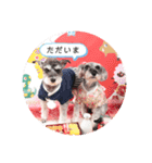 Mシュナ 元保護犬DankeとMina（個別スタンプ：11）
