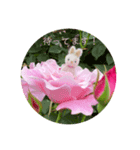 うさぎの日常 Little rabbit days（個別スタンプ：3）