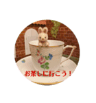 うさぎの日常 Little rabbit days（個別スタンプ：4）