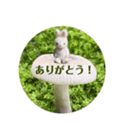 うさぎの日常 Little rabbit days（個別スタンプ：8）
