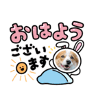 コーギー犬すずちゃん2（個別スタンプ：4）