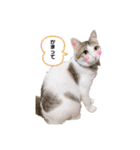 ドットちゃんです（個別スタンプ：3）