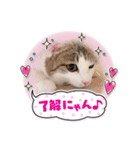 ドットちゃんです（個別スタンプ：5）