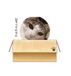 ドットちゃんです（個別スタンプ：7）