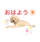 ちわぷースタンプ！（個別スタンプ：4）