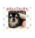 タムとの暮らし2（個別スタンプ：2）