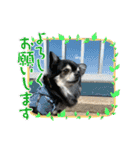 タムとの暮らし2（個別スタンプ：22）