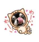 タムとの暮らし2（個別スタンプ：33）