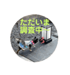 タムとの暮らし2（個別スタンプ：36）