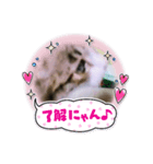 素直な（個別スタンプ：8）
