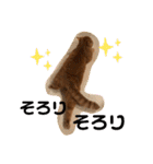 茶トラ猫カンテ②（個別スタンプ：3）