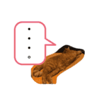 茶トラ猫カンテ②（個別スタンプ：11）