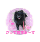 テンシン  さゆり（個別スタンプ：1）