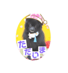 テンシン  さゆり（個別スタンプ：3）