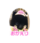 テンシン  さゆり（個別スタンプ：4）