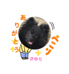 テンシン  さゆり（個別スタンプ：5）