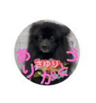 テンシン  さゆり（個別スタンプ：7）