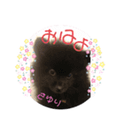 テンシン  さゆり（個別スタンプ：10）