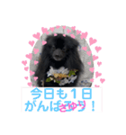 テンシン  さゆり（個別スタンプ：23）