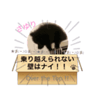 テンシン  さゆり①（個別スタンプ：1）