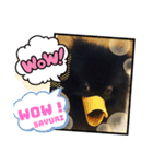 テンシン  さゆり①（個別スタンプ：5）