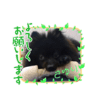 テンシン  さゆり①（個別スタンプ：6）