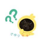 テンシン  さゆり①（個別スタンプ：7）