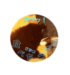 テンシン  さゆり①（個別スタンプ：10）