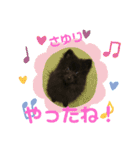 テンシン  さゆり①（個別スタンプ：13）