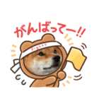 れいくん柴犬（個別スタンプ：8）