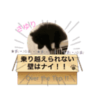 テンシン  さゆり③（個別スタンプ：1）