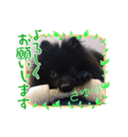 テンシン  さゆり③（個別スタンプ：4）