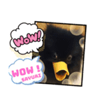 テンシン  さゆり③（個別スタンプ：5）