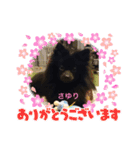 テンシン  さゆり③（個別スタンプ：18）