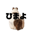 せっちゃ（個別スタンプ：8）