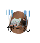 miiiichanスタンプ（個別スタンプ：5）