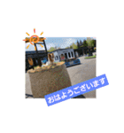 ぱぴぱぴパピヨン24（個別スタンプ：1）