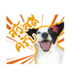ファンタ犬（個別スタンプ：1）