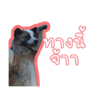 ファンタ犬（個別スタンプ：7）