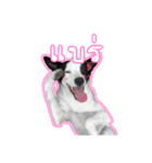 ファンタ犬（個別スタンプ：13）