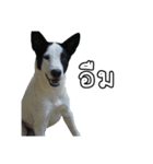 ファンタ犬（個別スタンプ：14）